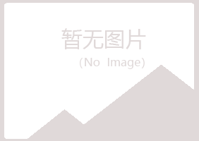 湖北山柏采矿有限公司